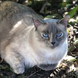 Meet your Posher, Stacy